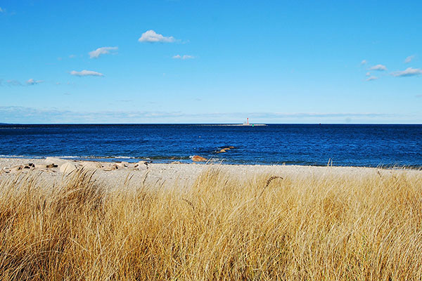 Sandwich Beach