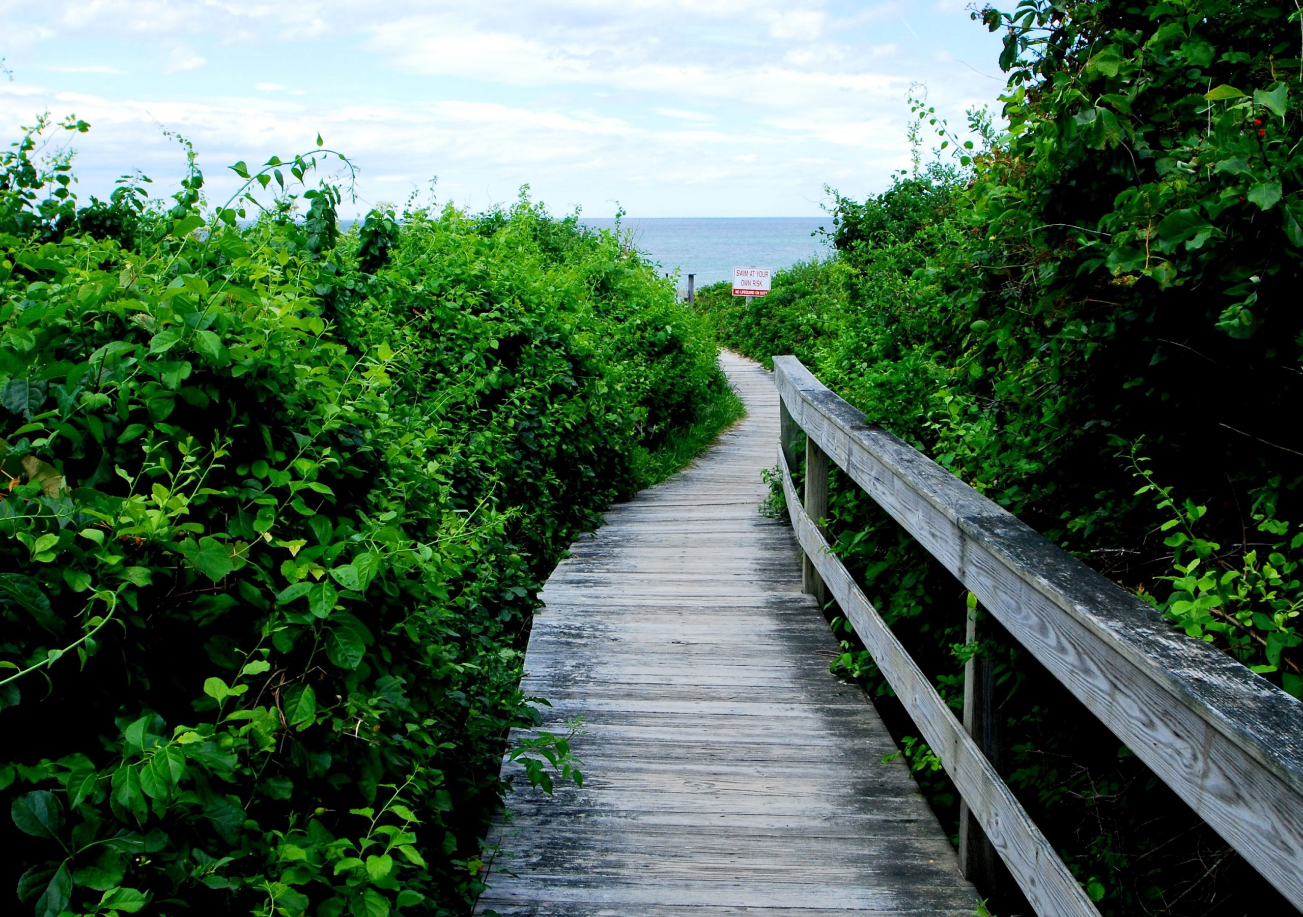 East Sandwich Boardwalk 2