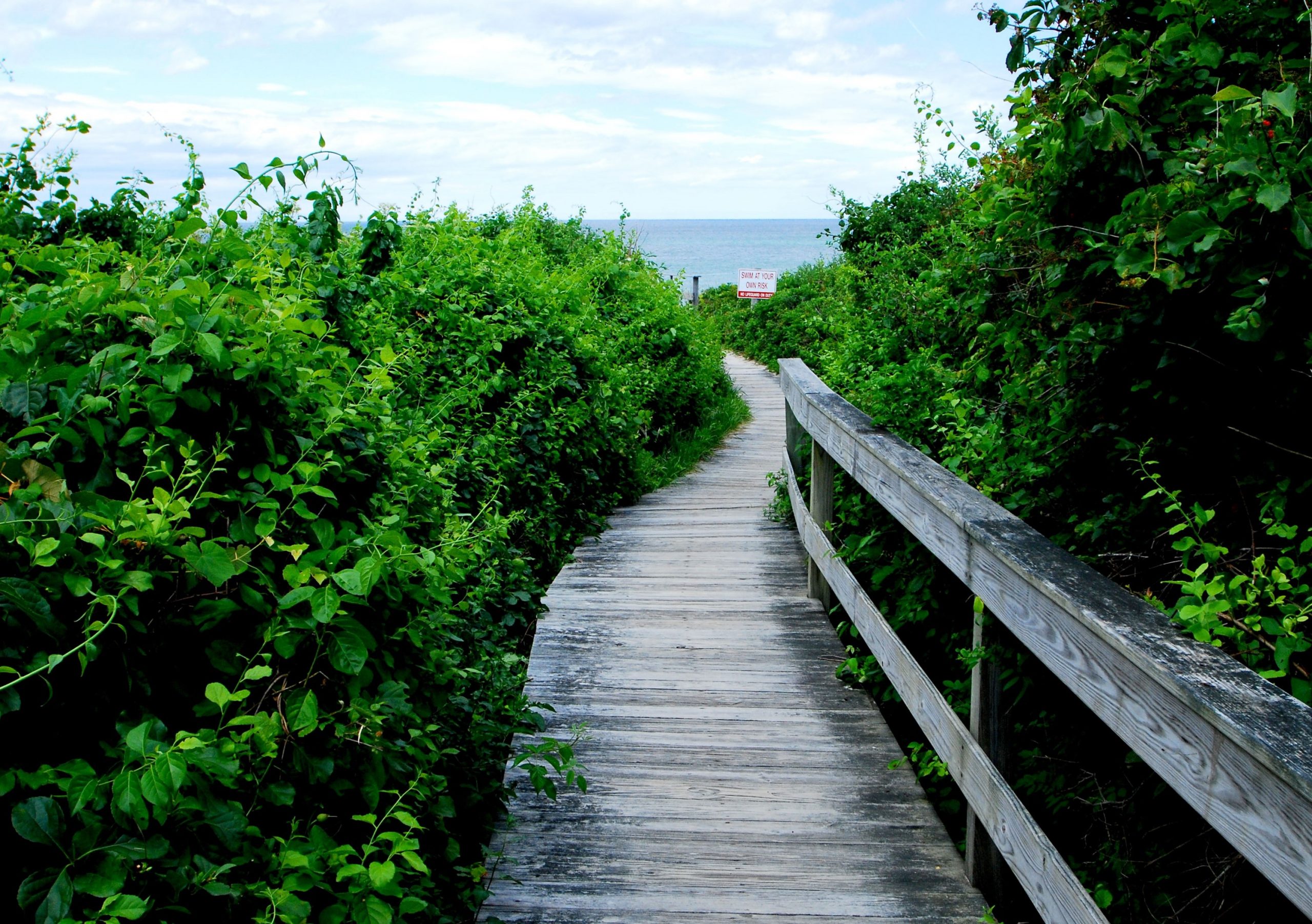 East Sandwich Boardwalk 2